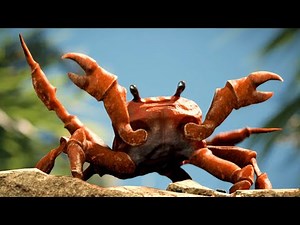 "Crab Rave" 10 Hours