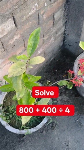 Math Test Solution for the | M M