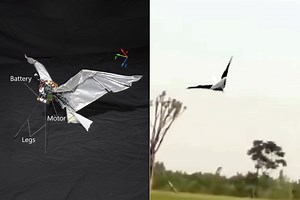 RoboFalcon2.0 Might be One of the First Robotic Birds That Actually Flies Like the Real Thing