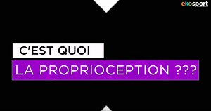 Renforcer ses chevilles avec la proprioception - Tout le Trail