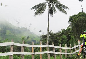 Coffee Cultural Landscape Immersion