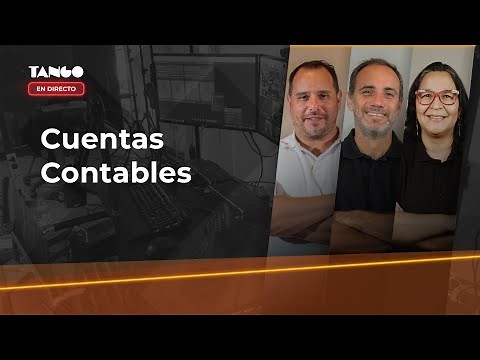 Tango Software - Cuentas contables