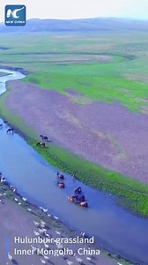108K views · 8.6K reactions | As one of the largest prairies in China, #Hulunbuir Grasslands, located in N China's #InnerMongolia, represent some of the finest patches of untouched wilderness in the country. | FlyOverChina | Facebook
