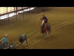 Allen Bach Smarty Dally Drill