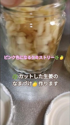 【エール】整える疲労回復エキス♪🍋🌿ジンジャーエール作りました！#元気出る #材料２つか3つ #エイジングケア