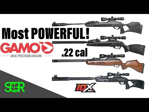 ULTIMATE Gamo Swarm POWER TEST! Gamo Swarm Magnum, Swarm Maxxim, Bone Collector and Swarm Fusion!