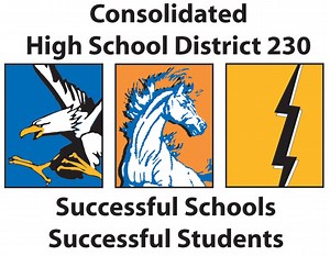 District 230 seeks committee member applicants