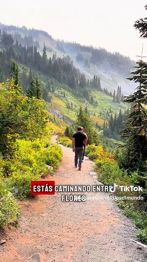 Explora el Parque Nacional Mount Rainier: Naturaleza Extrema