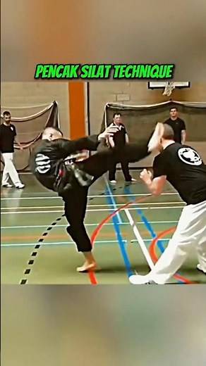 🥋 PENCAK SILAT TECHNIQUE #combatsports #boxing ‪@CombatTraining147‬