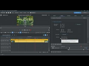 MAGIX Video Pro X 17 | Kamera-/ Zoomfahrt | Keyframes