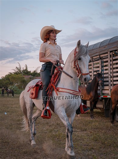Desfile a Caballo en Andalucia: Tradición y Aventura