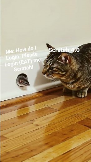 POV: If Scratch 4.0 Arrived?
