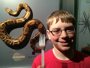 12-yr-old eats a Snake (Python) : Crude Brothers