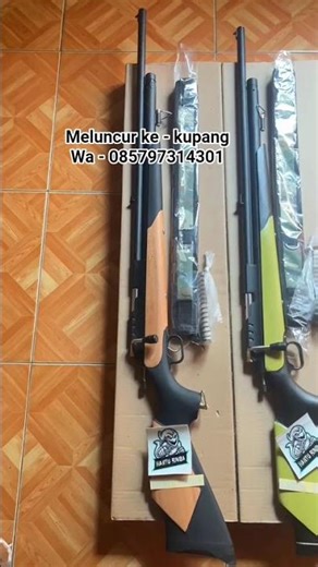 full biggame ke kupang, #senapanbabi #pcpterbaru #hanturimbapcp #senapanpcp