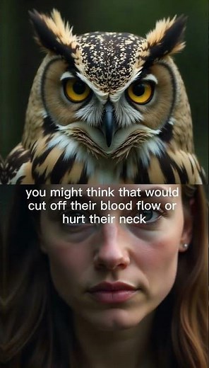 “How Owls Rotate Their Heads 270 Degrees|Amazing Animal Anatomy Explained”
