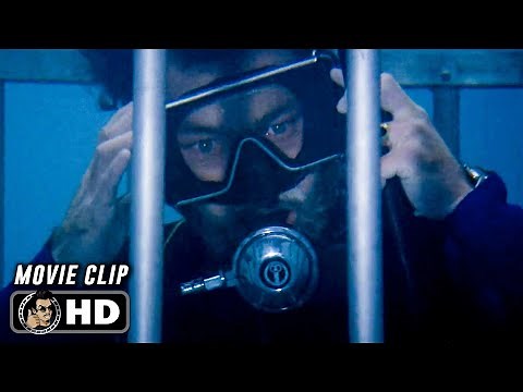 Shark Cage Scene | JAWS (1975) Movie CLIP HD
