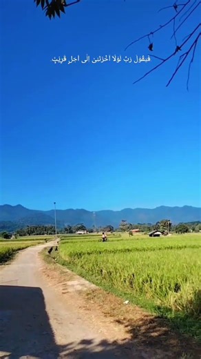 pemandangan #likeandsubscribe