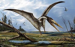Newly-discovered species of prehistoric flying reptile ‘poses mystery’