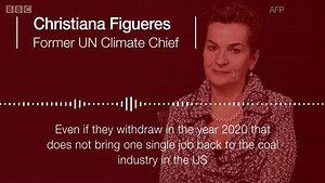 52K views · 345 reactions | US will quit the 2015 Paris climate accord. Here are two very different reactions to President Trump's decision. | BBC World Service | Facebook