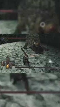 #darksouls2 Royal Rat Authority fight boss
