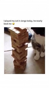 989K views · 58K reactions | Watch till the end  | Cosmos Music | Facebook