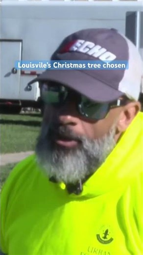 Louisville’s downtown Christmas tree has been chosen.