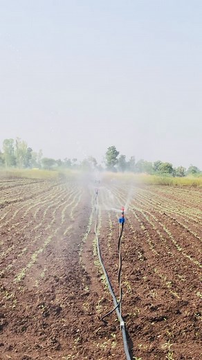 Transform your onion farming with the Jain Sprinkler 5022 SD U, delivering a rain-like effect for optimal growth 🧅 💦 Experience prosperity in every drop and watch your harvest thrive 💯 🌱 #JainSprinklers #AcuRain #Sprinklers #JainIrrigation #JISL | Jain Irrigation Systems Ltd.