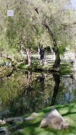 When My Ex Becomes My Gynecologist 🌷 - Full Episodes