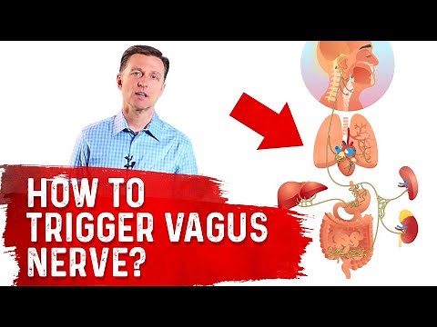 How To Trigger Vagus Nerve? – Dr. Berg