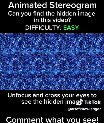 This is a VERY easy Stereogram, you can use this video to practice how to see stereograms! #stereogram #illusion #crossview #learning #3d