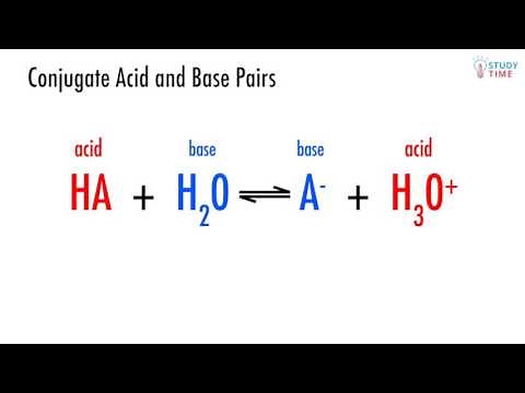 Conjugate Acids & Bases (7/10) | Chemical Reactivity - NCEA Level 2 Chemistry | StudyTime NZ