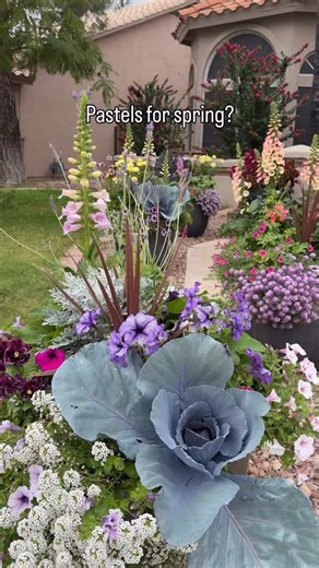 John on Instagram: "We LOVE designing with the best seasonal color, and wha better way than to use a pastel color pallet for spring🌸 We went for more of a cottage core vibe with foxgloves, delphiniums, and beautiful cabbages!"