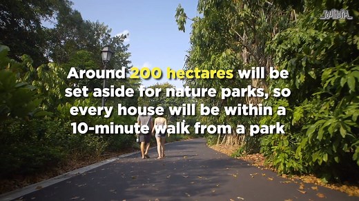 The Singapore Green Plan was announced on Feb 10, 2021. It highlights the five pillars which will help us build a more sustainable future by 2030. Ministry of Sustainability and the Environment #SGGreenPlan | Youthopia SG | Facebook