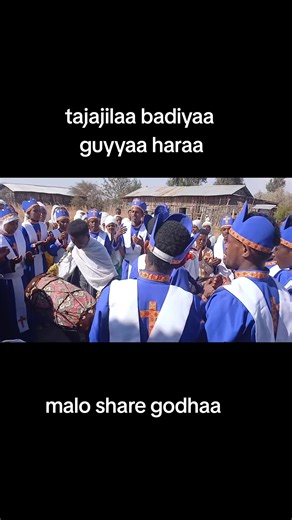 #viralview #newtrendethiopianmusic #creatorsearchinsights @Dn tashe