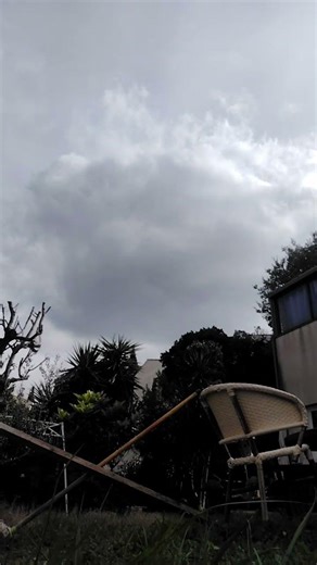 c'est décidé je vais devenir proooooooo 💖💖💖💝💝💞💝💖💝💞💖💝💝💞💞💝💞💞💖💞💝💝💝💖💝💝💖💝💖💞💝 #chevaux #hobbyhorse