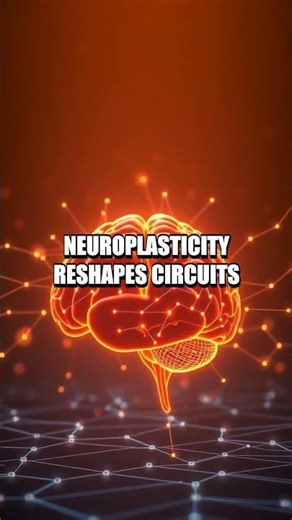 The Silent Clockwork: Brain Timing and AI's Predictive Edge