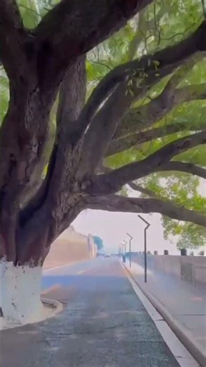 See how a spoon is made