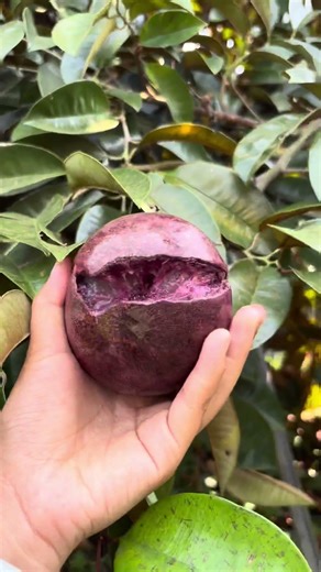 Real Farming Life 2026 #usa #farming #shorts