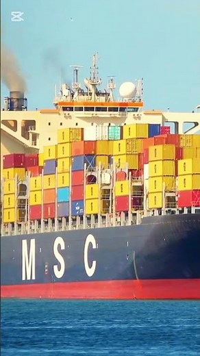 MASSIVE MSC ABIDJAN SHIP! Massive MSC Cargo Container Ship Entering Port #ship #containership