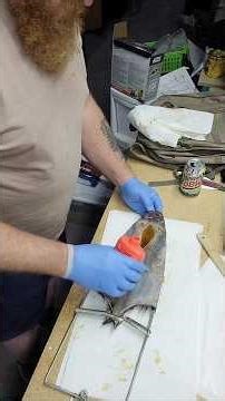 HOW TO TAN A MUSKRAT HIDE! #muskrat #hidetanning #trapper #furtanning #pelt #short #shorts