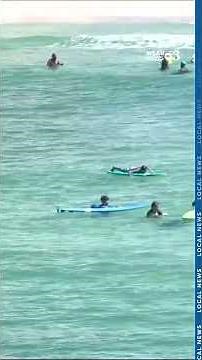 NOAA biologist urges caution after two Florida Panhandle shark bites