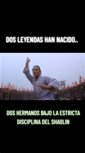 TAI CHI MASTER (1993) TRAILER DVD #taichimaster #twinwarriors #jetli #michelleyeoh #fyp #foryou #parati #viralvideo #viral