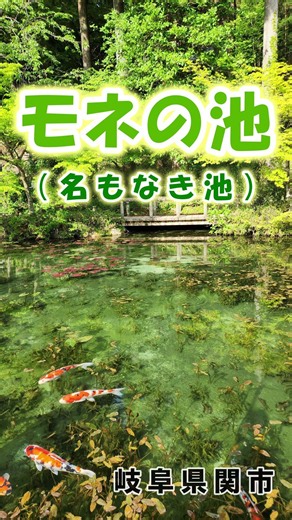 岐阜県関市「モネの池」