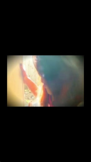 TikTok · Piyah Martell