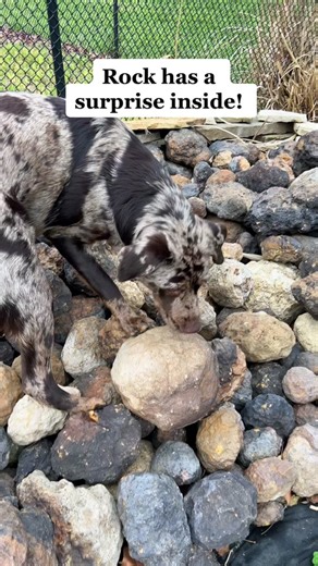 Surprise Inside: Breaking Rocks for Crystal Geodes