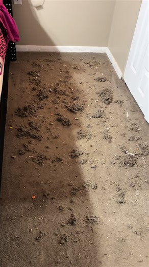 Improving Microphone Placement for Better Sound Quality