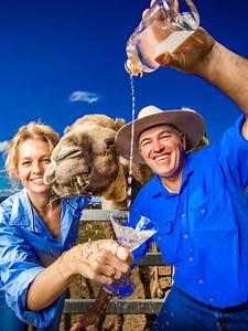 The camel milk vodka cocktail you have to try