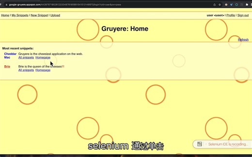 如何使用 Selenium 进行web登陆扫描
