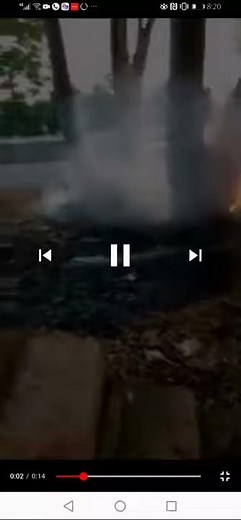 Ginimbi car crash video || Moana's horrific screams