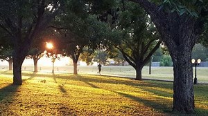 Beginner 16-Week 10K Training Plan